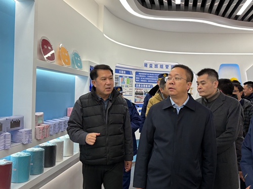 天津經濟技術開發區黨委書記、管委會主任洪世聰一行赴東綸天津公司安全檢查和慰問